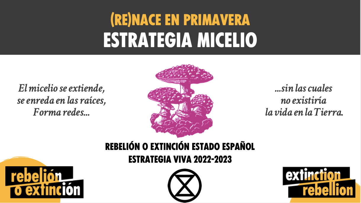 (RE)NACE EN PRIMAVERA – ESTRATEGIA MICELIO